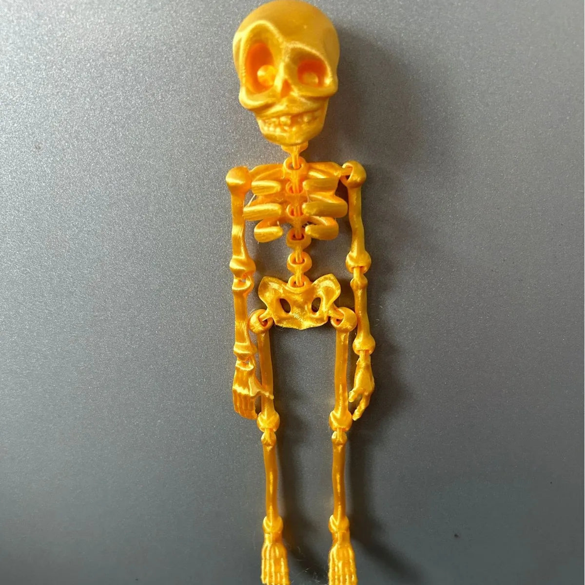 MorbidFlex™ Skeleton Magnets