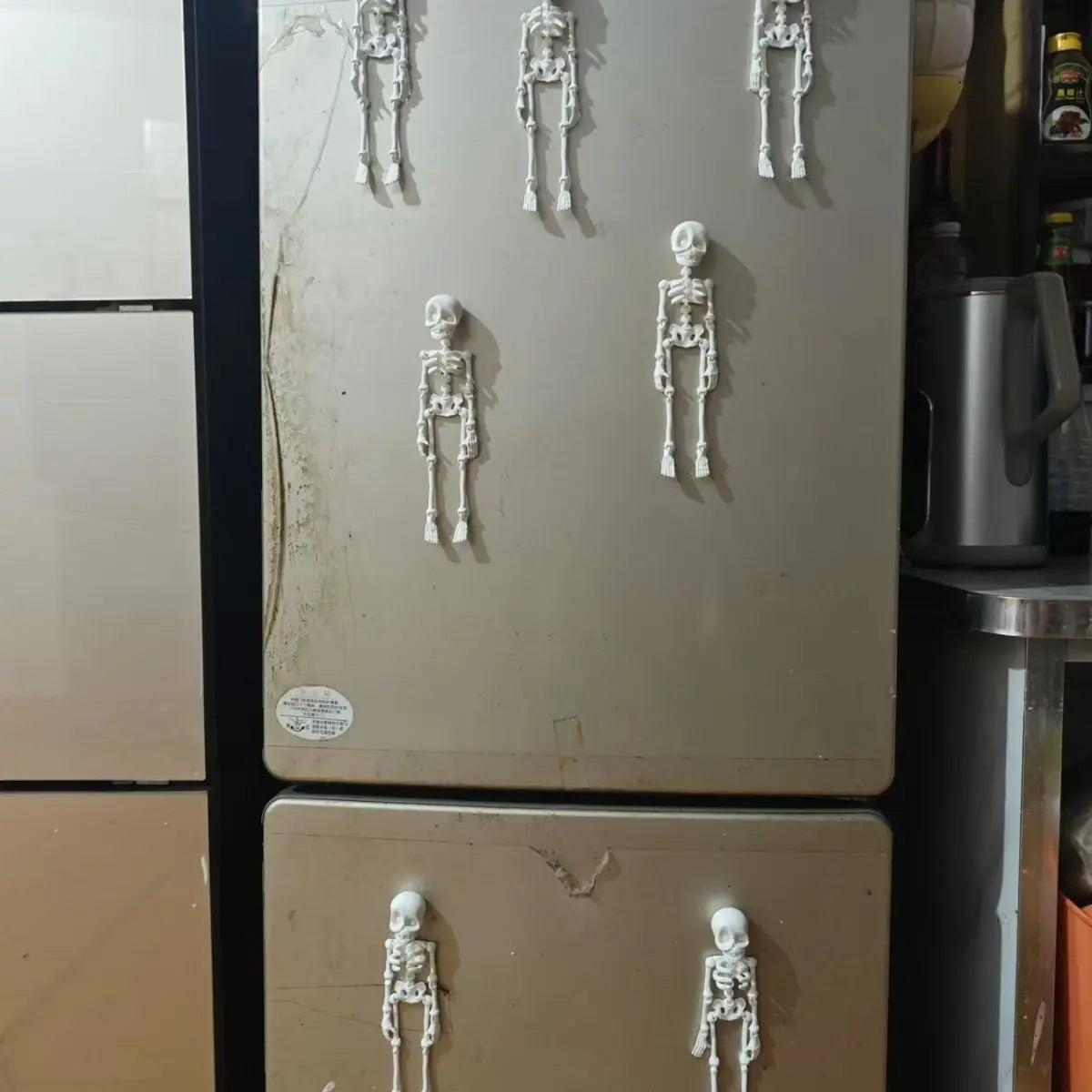 MorbidFlex™ Skeleton Magnets