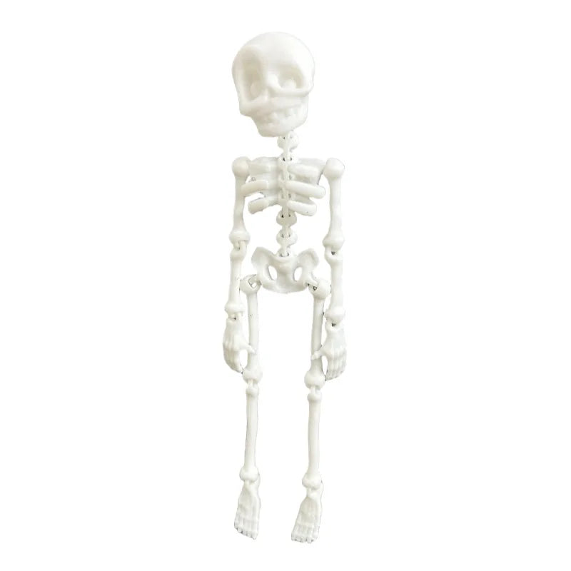 MorbidFlex™ Skeleton Magnets